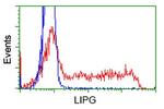 LIPG Antibody in Flow Cytometry (Flow)