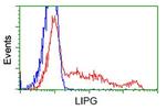 LIPG Antibody in Flow Cytometry (Flow)
