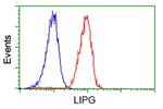 LIPG Antibody in Flow Cytometry (Flow)