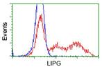 LIPG Antibody in Flow Cytometry (Flow)