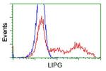 LIPG Antibody in Flow Cytometry (Flow)
