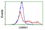 LMAN1 Antibody in Flow Cytometry (Flow)