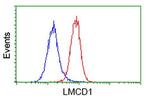 LMCD1 Antibody in Flow Cytometry (Flow)