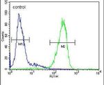 LMF2 Antibody in Flow Cytometry (Flow)