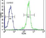 ATXN7L3B Antibody in Flow Cytometry (Flow)