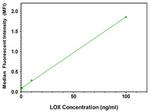 LOX Antibody in ELISA (ELISA)