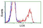 LOX Antibody in Flow Cytometry (Flow)