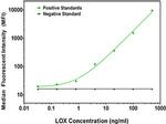 LOX Antibody in Luminex (Luminex)