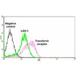 LOX-1 Antibody in Flow Cytometry (Flow)