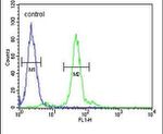LOX Antibody in Flow Cytometry (Flow)
