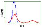 LPL Antibody in Flow Cytometry (Flow)