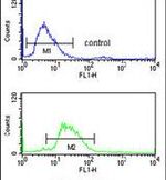LRG1 Antibody in Flow Cytometry (Flow)