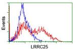 LRRC25 Antibody in Flow Cytometry (Flow)