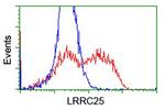 LRRC25 Antibody in Flow Cytometry (Flow)
