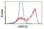 LRRC25 Antibody in Flow Cytometry (Flow)