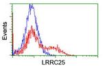 LRRC25 Antibody in Flow Cytometry (Flow)