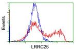 LRRC25 Antibody in Flow Cytometry (Flow)