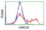 LRRC25 Antibody in Flow Cytometry (Flow)