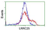 LRRC25 Antibody in Flow Cytometry (Flow)