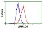 LRRC25 Antibody in Flow Cytometry (Flow)