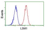 LSM1 Antibody in Flow Cytometry (Flow)