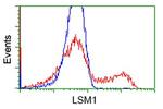 LSM1 Antibody in Flow Cytometry (Flow)