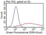 LYVE1 Antibody in Flow Cytometry (Flow)