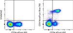 CD4 Monoclonal Antibody (GK1.5), NovaFluor™ Blue 760, eBioscience™
