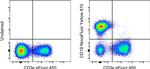 CD19 Antibody in Flow Cytometry (Flow)