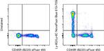 Ly-6G/Ly-6C Antibody in Flow Cytometry (Flow)
