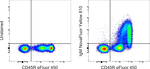 Mouse IgM Antibody in Flow Cytometry (Flow)