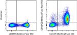 CD16/CD32 Monoclonal Antibody (93), NovaFluor™ Red 755, eBioscience™