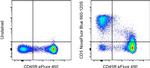 CD5 Monoclonal Antibody (53-7.3), NovaFluor™ Blue 660-120S, eBioscience™
