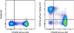 CD5 Monoclonal Antibody (53-7.3), NovaFluor™ Yellow 610, eBioscience™