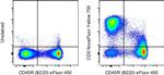 CD5 Antibody in Flow Cytometry (Flow)