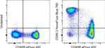 CD90.2 (Thy-1.2) Monoclonal Antibody (53-2.1), NovaFluor™ Blue 760, eBioscience™