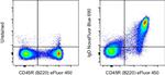 Mouse IgD Antibody in Flow Cytometry (Flow)