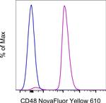 CD48 Monoclonal Antibody (HM48-1), NovaFluor™ Yellow 610, eBioscience™