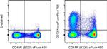 CD73 Antibody in Flow Cytometry (Flow)