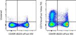 CD73 Antibody in Flow Cytometry (Flow)
