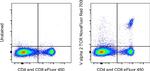 TCR V alpha 2 Monoclonal Antibody (B20.1), NovaFluor™ Red 700, eBioscience™