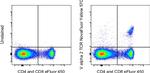 TCR V alpha 2 Monoclonal Antibody (B20.1), NovaFluor™ Yellow 570, eBioscience™