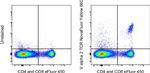 TCR V alpha 2 Monoclonal Antibody (B20.1), NovaFluor™ Yellow 660, eBioscience™