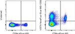 VISTA Antibody in Flow Cytometry (Flow)