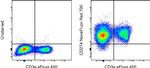 CD274 (PD-L1, B7-H1) Antibody in Flow Cytometry (Flow)
