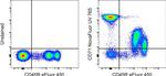 CD71 (Transferrin Receptor) Antibody in Flow Cytometry (Flow)