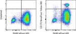 CD170 (Siglec F) Monoclonal Antibody (1RNM44N), NovaFluor™ Yellow 690, eBioscience™