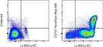 CD101 Monoclonal Antibody (Moushi101), NovaFluor™ Blue 690, eBioscience™