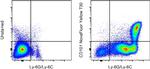 CD101 Monoclonal Antibody (Moushi101), NovaFluor™ Yellow 730, eBioscience™