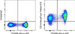 CD1d Monoclonal Antibody (1B1), NovaFluor™ Yellow 610, eBioscience™